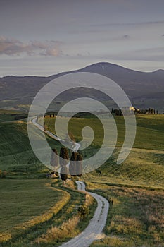 Winding road and cypress trees and farmhouse in the rolling hills and fields of Tuscany Italy