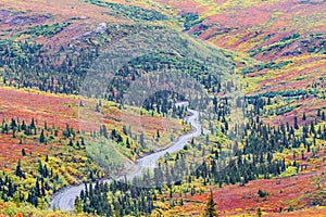 Winding road in Denali national park in Alaska