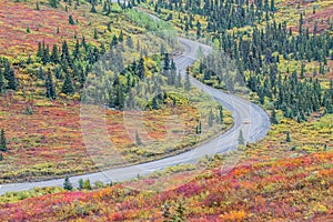 Winding road in Denali national park in Alaska