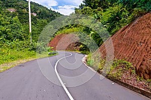 Winding road through Dominica