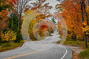 Winding Road, Fall Colors, Door County, WI