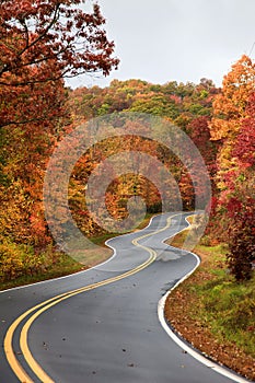 Winding Road in the Fall photo