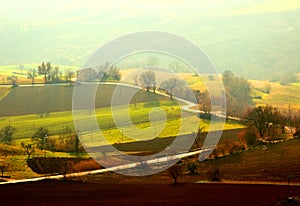 Winding road between fields bathed in sunlight and covered with fog in Penna San Giovanni