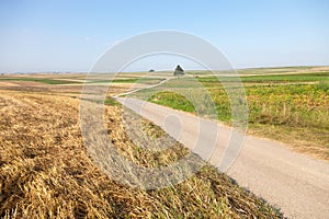 A winding road among fields under a blue sky