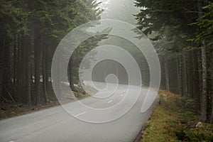 Winding Road in Fog