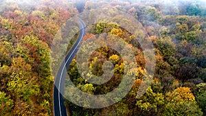 Winding road in forest. Aerial view of autumn forest and curvy road