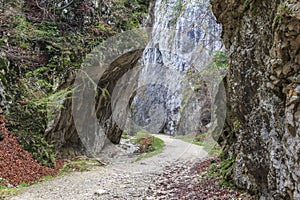 Winding road through the gorge in spring, Romania.