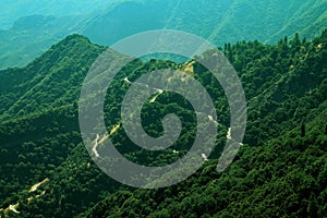 Winding road on green forested hill with many trees