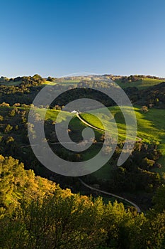 Winding Road on Green Hills