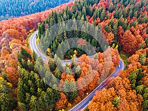 Winding road from high mountain pass, in autumn season, with orange forest