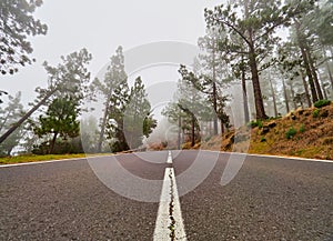 Winding road im mist on north of Tenerife. Canary Islands, Spain