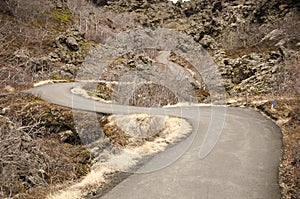 Winding road in a lavafield