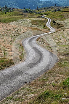 Winding Road In Montenegro