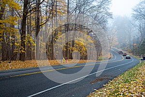 Winding road near forest park with tall mature trees and colorful yellow fall leaves, rear view blurry car motions at early foggy