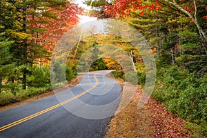 Winding road in New England fall foliage