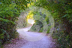 Winding road in Palud Ornithological reserve, Istria, Croatia