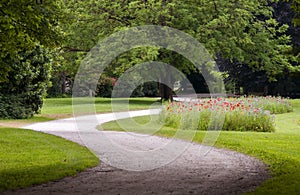 A winding road in the park with green grass and poppy flowerbed on the background
