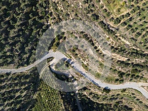A winding road passes through a valley of olive groves