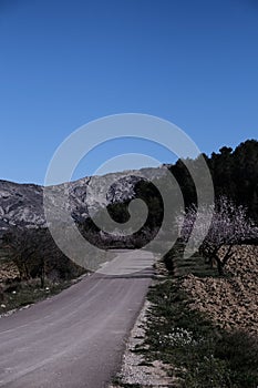 Winding road in scenic landscape of Alicante, Spain