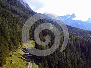 A winding road stretches along the mountainside between the trees in perspective. Picturesque natural landscape