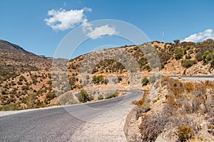 Winding road with trees in red Atlas Mountains