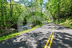 Winding road through the trees of Tremont GSMNP