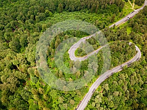 Winding road trough the forest, in summer