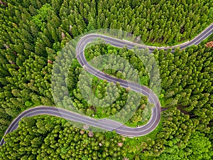 Winding road trough the forest, in summer