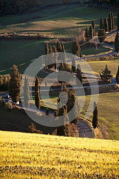 Winding road in Tuscany