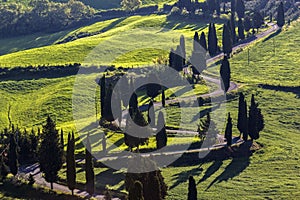 Winding road in Tuscany in Italy