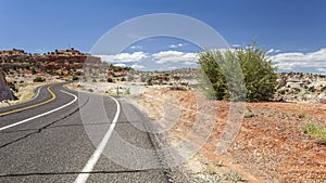 Winding road wih cars through empty wilderness