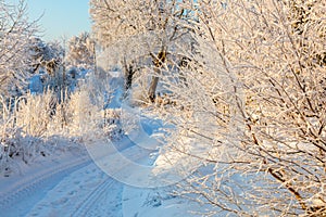 Winding road through a winter landscape with rime