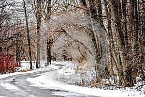 Winding Road in Winter with Snow