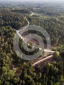 Winding roads and crossroads in the forest. Captured from above