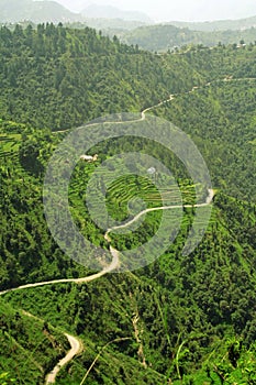 Winding roads thorugh rice step farms of the hima