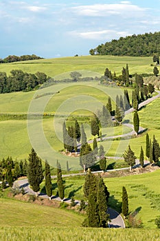 Winding roads of Tuscany