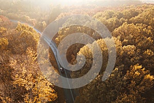 Winding rual road inside autumn forest with black car