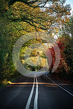 Winding rural road in autumn with colorful foliage tree in rural area by Billingshurst, West Sussex, UK