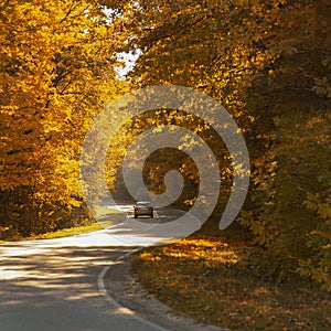 Winding rural road with car inside colorful autumn forest