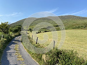 Winding Road near Ardgroom, Cork, Ireland photo