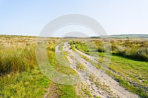 Winding, rutted path along the Derbyshire moorland