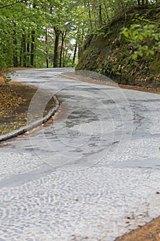 Winding S-shaped road in a forest