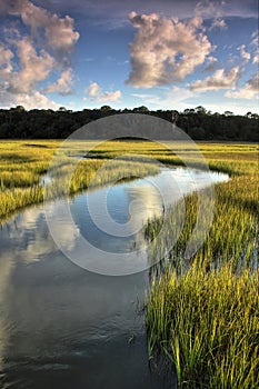 Winding Salt Marsh photo