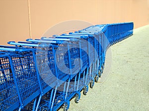 Winding Shopping Carts