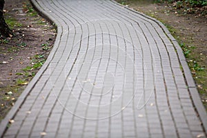 The winding sidewalk in the park.