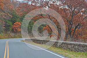 The winding Skyline Drive through the Fall colored trees. In Shenandoah National Park on the Blue Ridge Mountains of Virginia