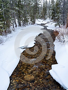 Winding small stream in winter leading into a forest