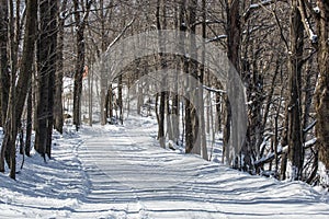 Winding snow covered country road