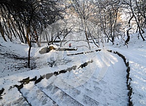 Winding snow-covered stairway in winter park, Cherkasy, Ukraine