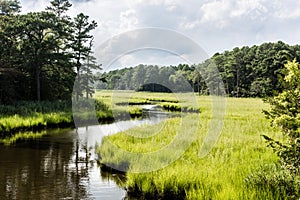Winding stream through salt marsh